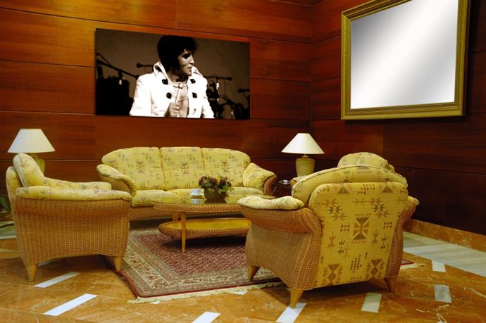 Depiction of Elvis9 on a drawing room wall.